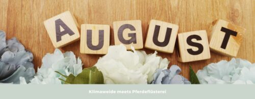 Klimaweide August