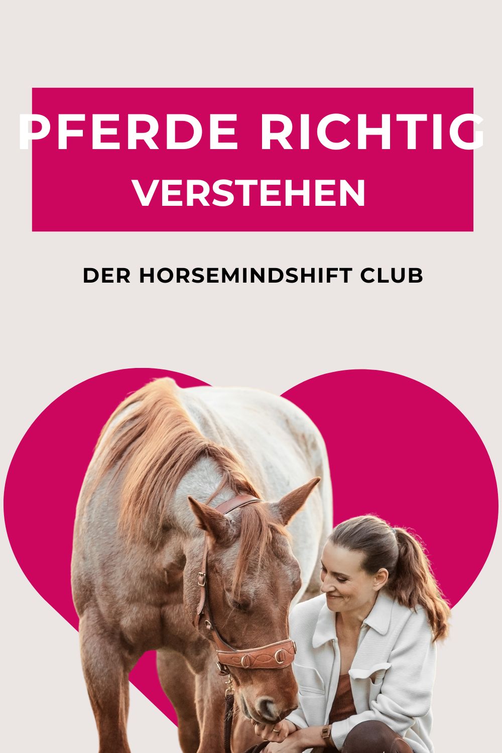 Pferdewissen auf der Pferdeflüsterei - unsere CLUBS 3