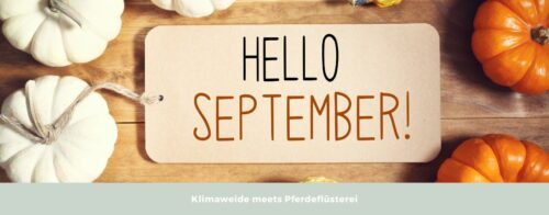 September Klimaweide
